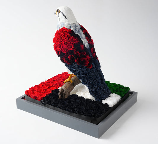 preserved flower falcon