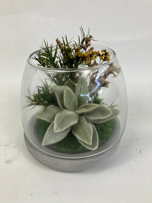 Moss Landscape