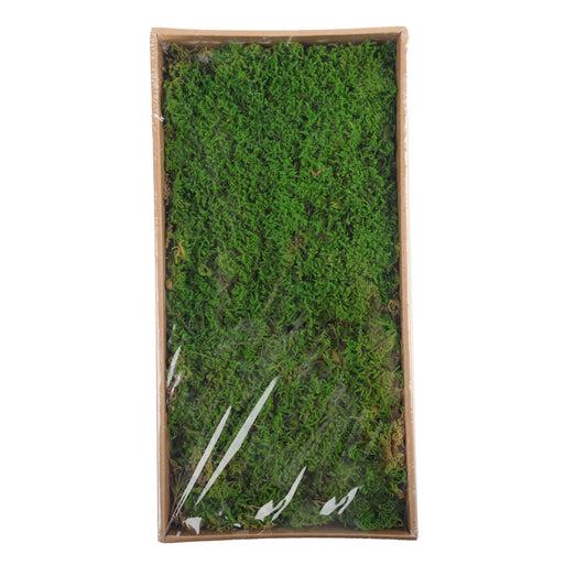 Flat Moss